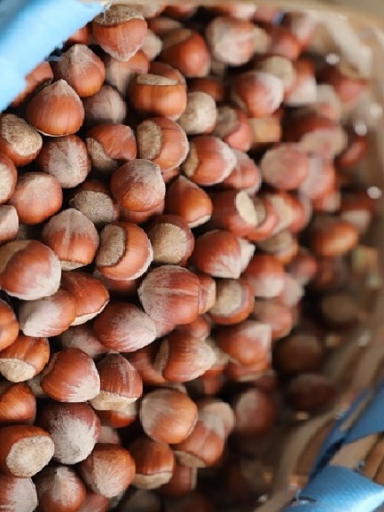 Kabuklu Fındık 1000 Gr